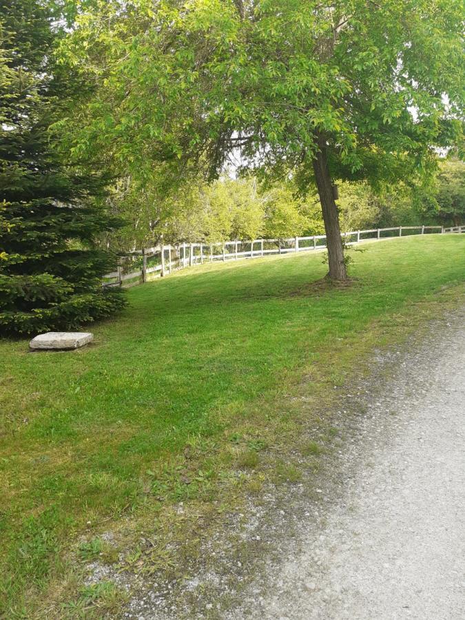 Auverg'Nature Chambre Combrailles Espinasse Exterior photo